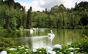 Suíte Lago Negro